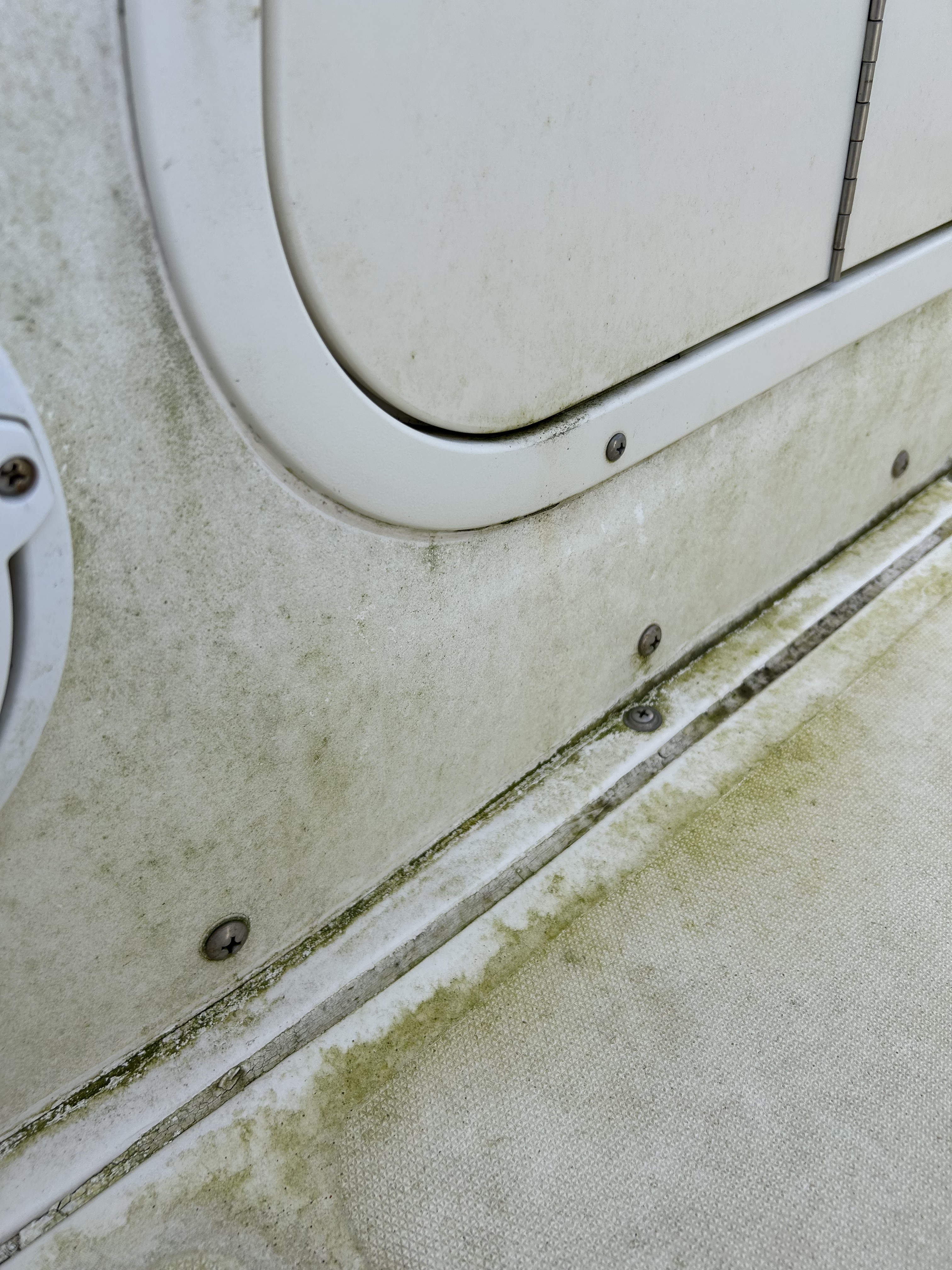 Before: algae on deck surfaces