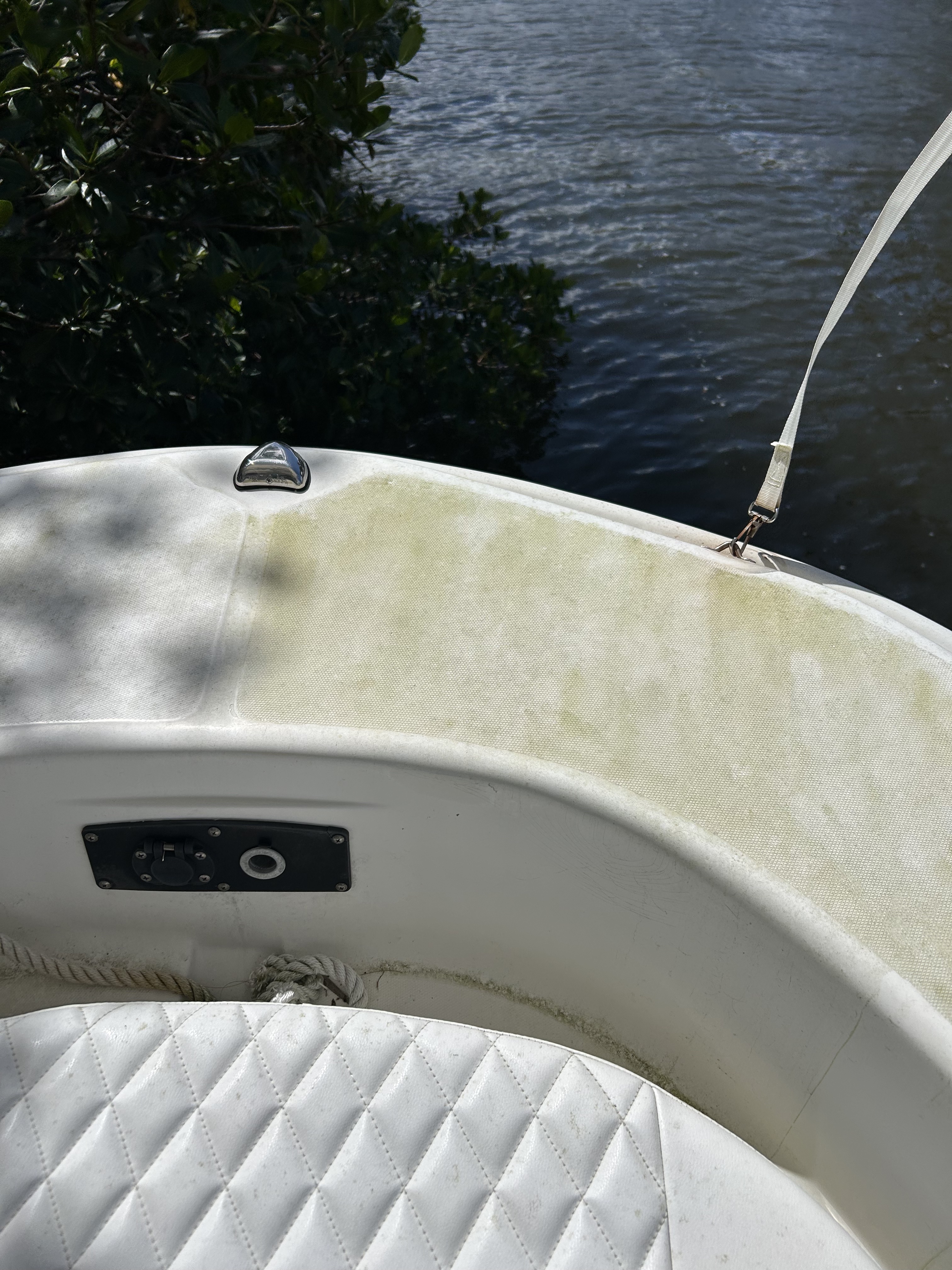 Before: mold on bow cushions